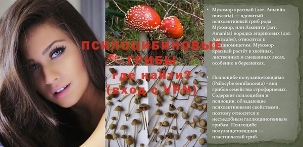 прущий лед Алексин