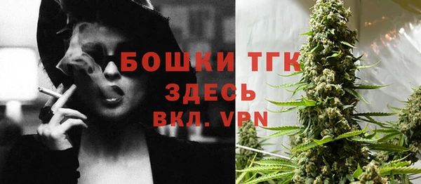 прущий лед Алексин