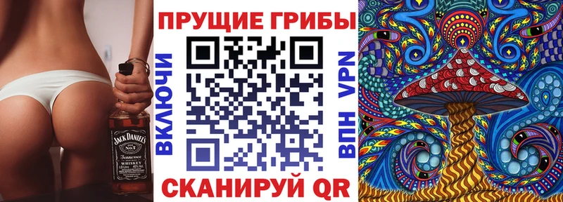 это клад  Миньяр  Псилоцибиновые грибы GOLDEN TEACHER 